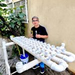 Escola de Cariacica ensina ciência e sustentabilidade com horta hidropônica sem usar terra