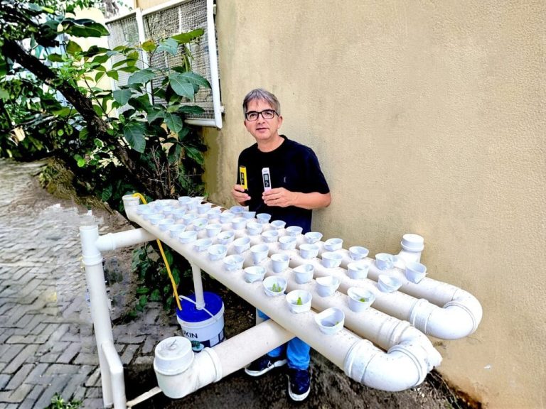 Escola de Cariacica ensina ciência e sustentabilidade com horta hidropônica sem usar terra