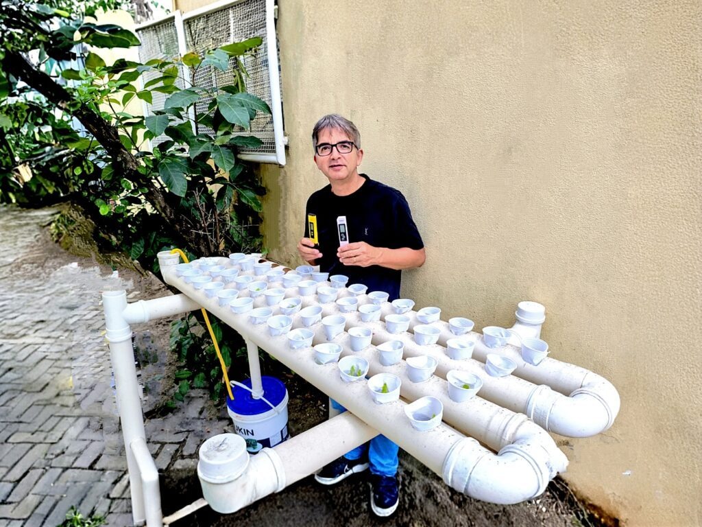 Escola de Cariacica ensina ciência e sustentabilidade com horta hidropônica sem usar terra